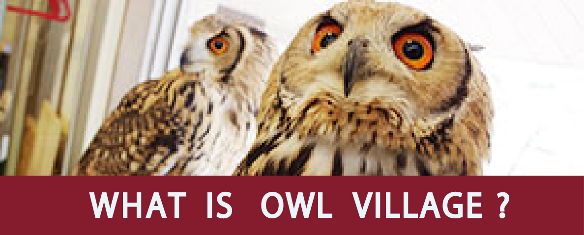 What is OWL VILLAGE?