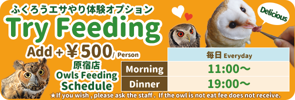 Try eeding owls. +500yen