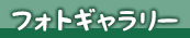 フォトギャラリー