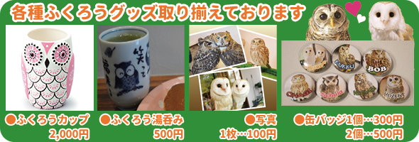 owl goods